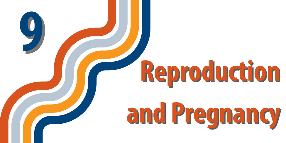 Lesson 9 - Reproduction and Pregnancy
